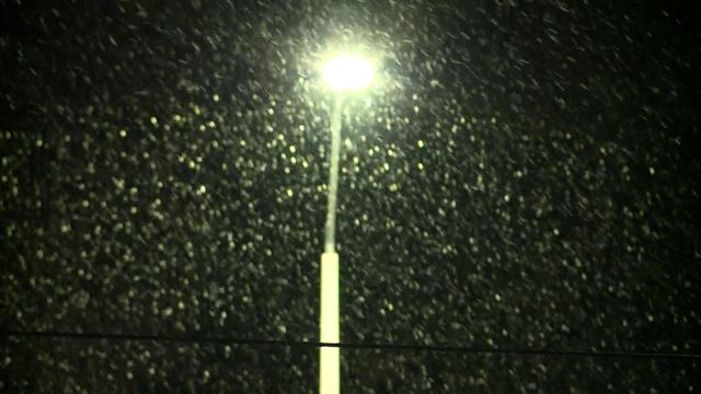Snow falls in Raleigh along Western Boulevard