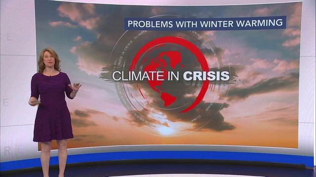 Elizabeth Gardner: Problems with winter warming