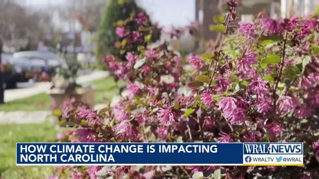 How climate change is impacting North Carolina