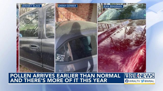 Pollen arrives earlier than normal and there's more of it this year