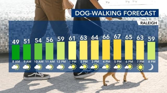 Dog-walking forecast Raleigh