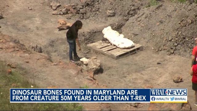 115-million-year-old dino bones found during public dig event 