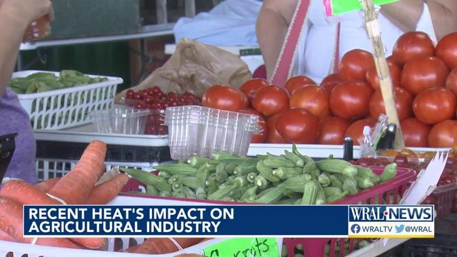 Recent heat impact on agricultural industry