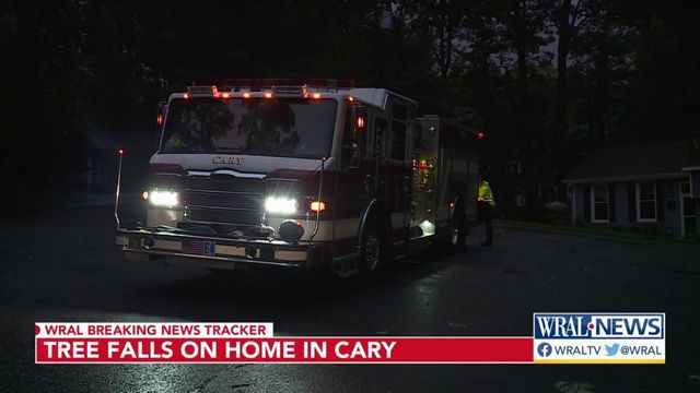 Tree falls on Cary home due to storms