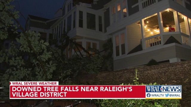 Downed tree falls near Raleigh's Village District