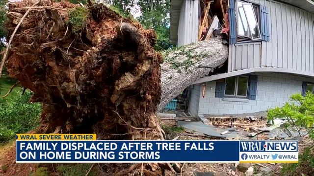 Family displaced after tree falls on Raleigh home during storms