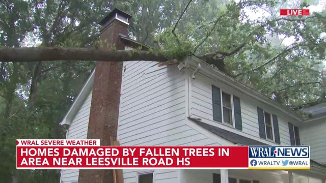 Tree falls on Kingsland Drive home in Raleigh