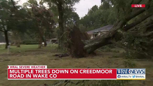 Multiple trees down on Creedmoor Road in Wake County