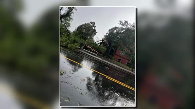 Durham woman nearly hit by falling tree