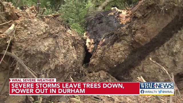 Severe storms leave power outages, downed trees in Durham