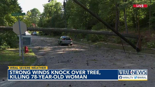 Strong winds knock over tree, killing 78-year-old woman