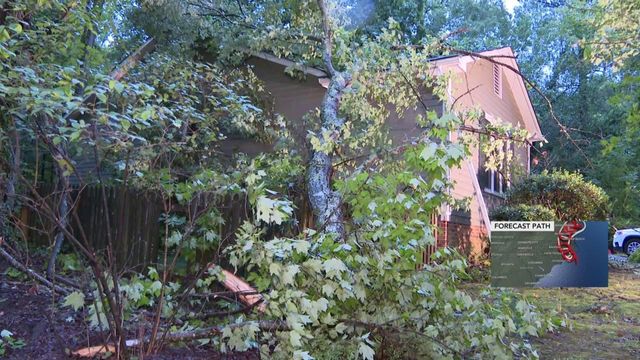 Tree falls onto Chapel Hill home, crashes through ceiling