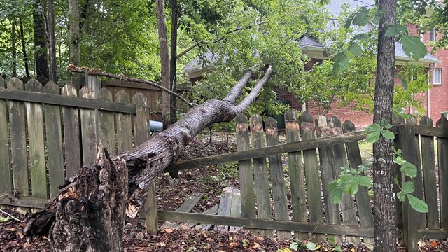 Tropical Storm Ophelia knocks down trees across Wake County