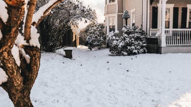 Winter home