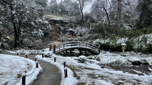 Winter park
