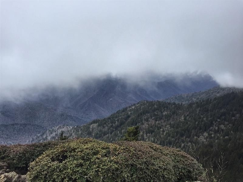 Thousands lose power, tornado warnings begin as western NC starts to feel impacts of Helene