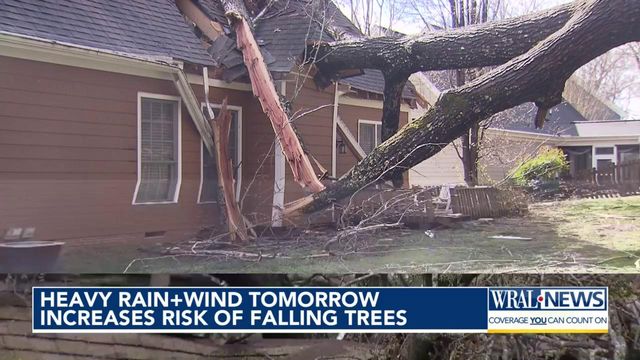 Wet ground, high winds could bring down trees