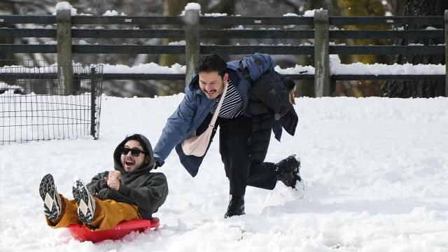 People use their snow sled in New York's Central Park Tuesday, Feb. 13, 2024, in New York. (AP Photo/Frank Franklin II) People use their snow sled in New York's Central Park Tuesday, Feb. 13, 2024, in New York. (AP Photo/Frank Franklin II)