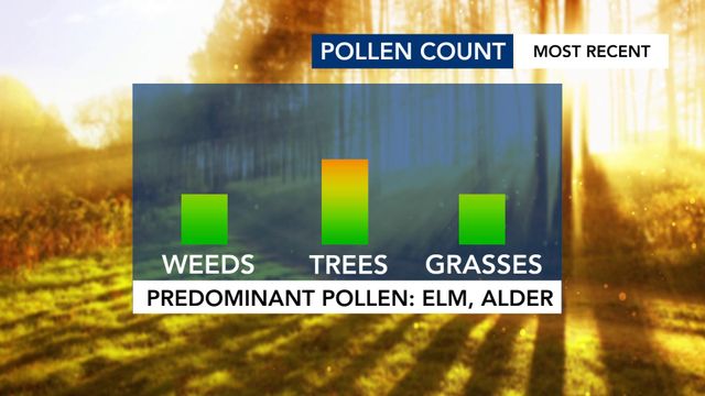 Pollen is here: Pollen count peaks in March, April