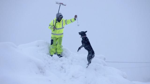 Alex Hereford plays with his friend's dog Dingo on top of a snow pile in downtown Truckee, Calif., on Saturday, March 2, 2024. (Jane Tyska/Bay Area News Group via AP) Alex Hereford plays with his friend's dog Dingo on top of a snow pile in downtown Truckee, Calif., on Saturday, March 2, 2024. (Jane Tyska/Bay Area News Group via AP)