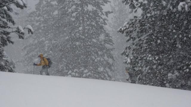 A person skis during a snow storm Sunday, March 3, 2024, in Olympic Valley, Calif. (AP Photo/Brooke Hess-Homeier) A person skis during a snow storm Sunday, March 3, 2024, in Olympic Valley, Calif. (AP Photo/Brooke Hess-Homeier)