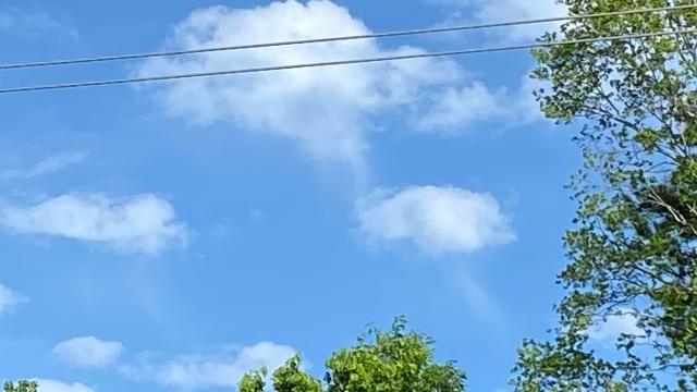 Ask the meteorologist: Why do some clouds look like jellyfish? :: WRAL.com