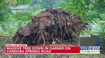 Crews work to remove giant tree down in Garner