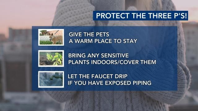 Protect the pets, plants and pipes during the stretch of cold