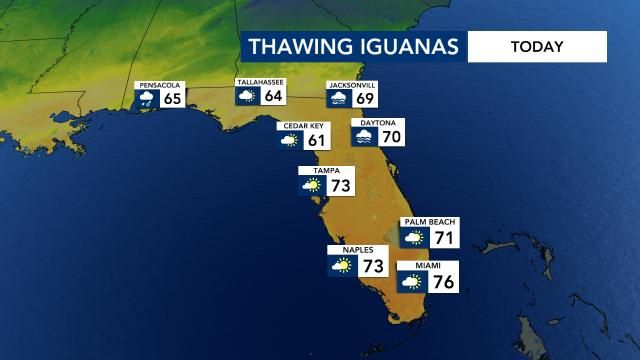 Monday brings warmer weather back to the Sunshine State