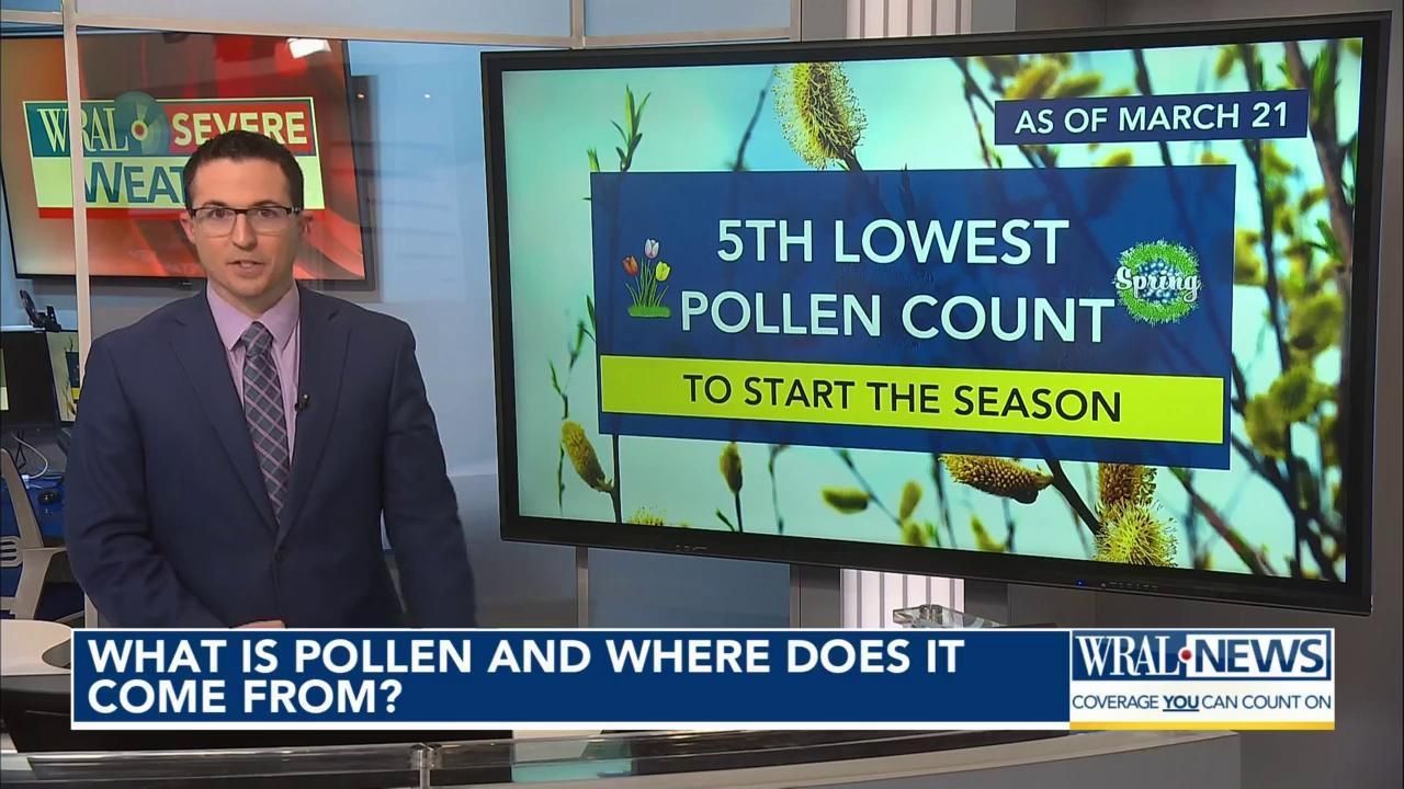 Ask the meteorologist: What is pollen?