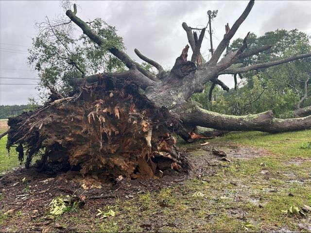 Edgecombe County cleans up tornado aftermath, prepares for more ...