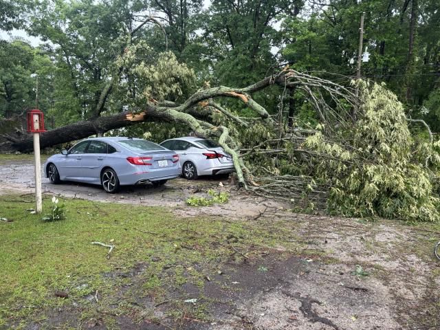 May 13, 2025 storm damage Edgecombe County