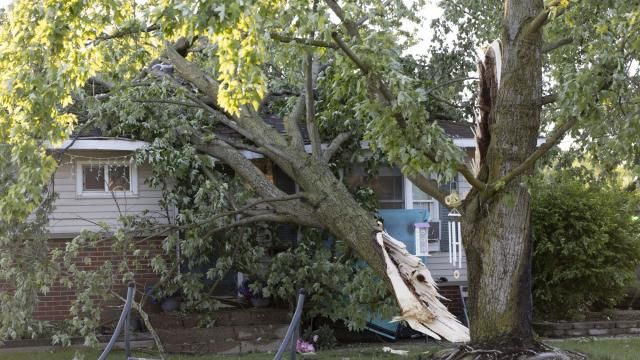 A tree lays on a house in Dorr, Mich., after a severe storm ripped across Michigan the night before, on Friday, May 16. 2025. (Neil Blake /The Grand Rapids Press via AP)