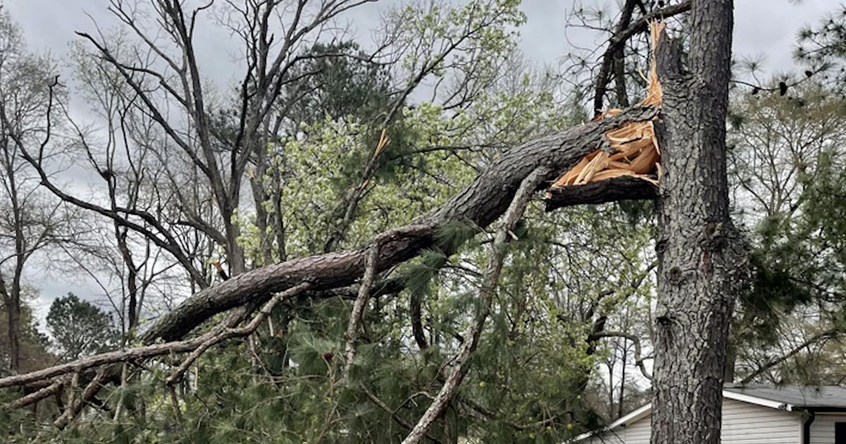 70s, storms and snow: Wild NC weather day brings its share of twists ...