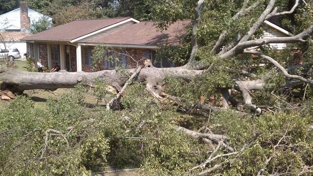 Tree slams into Goldsboro couple's home
