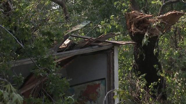Falling trees fatal in Pitt County