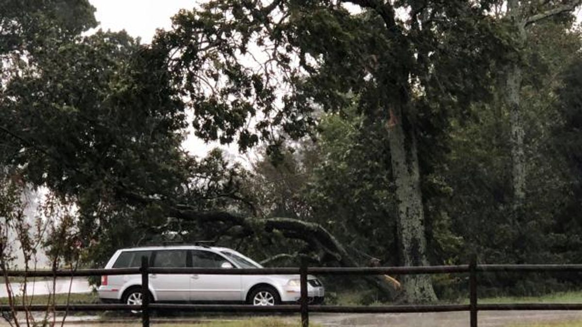Hurricane Florence in Hope Mills