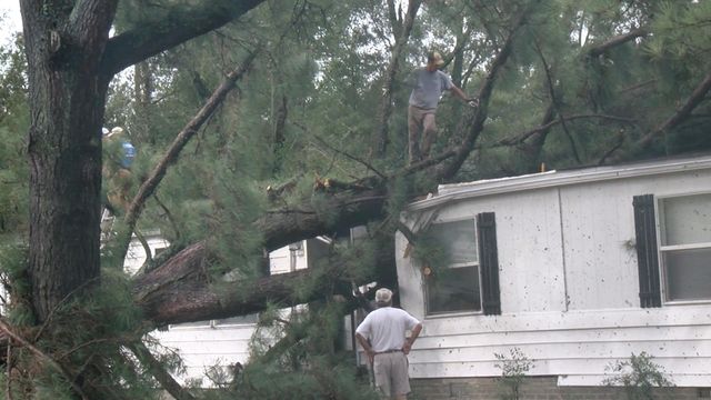Tree crashes into Elm City home