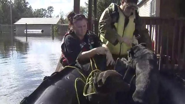 Crews rescues dogs left behind after Florence