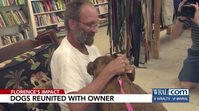 Dogs reunited with owner after Florence