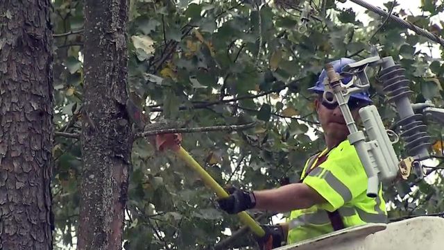 WRAL helps Cary couple get trees near power lines taken down