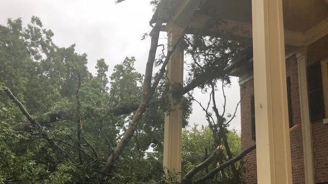 Carolina Inn loses trees to Michael's winds