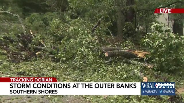 Trees down, some flooding and more for Outer Banks after Dorian