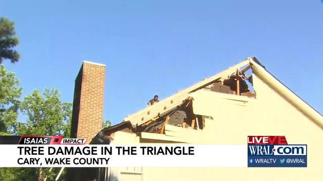Some storm damage seen around Triangle
