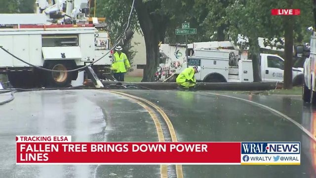 Tree crushes power lines on Glen Eden Drive in Raleigh
