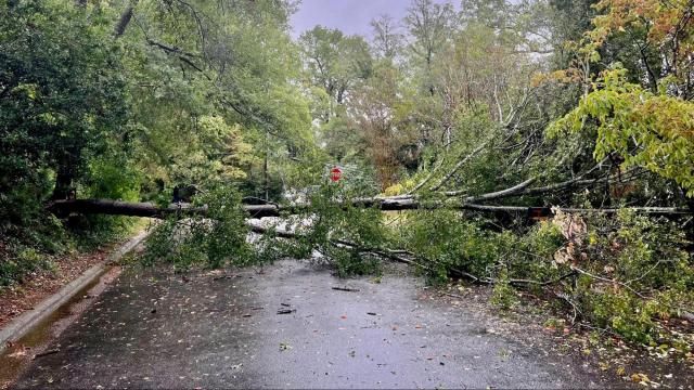 Trees down in Durham neighborhood