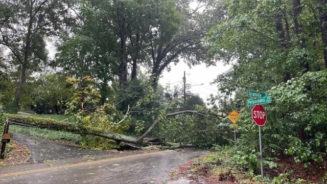 On Sept. 30, 2022, there was a downed tree on Granville Drive near Perquimans Drive in Raleigh as Hurricane Ian bears down on North Carolina.