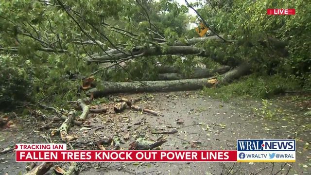 Fallen trees knock out power lines in Raleigh neighborhood