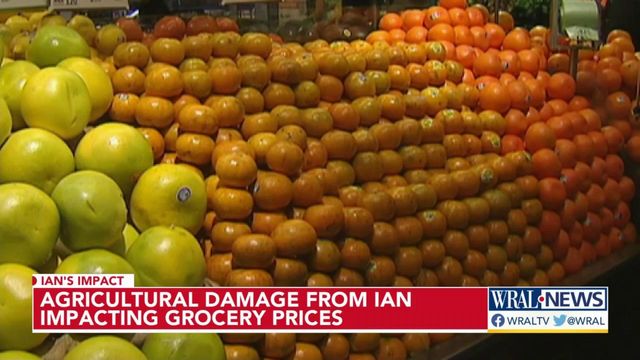 Hurricane Ian's impact: Damage from storm impacting grocery prices