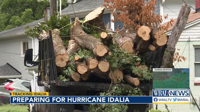 Winds, rain can bring down Triangle's trademark trees